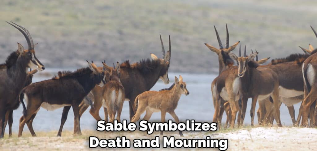 Sable Symbolizes Death and Mourning