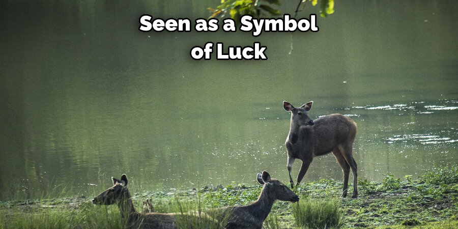 Seen as a Symbol of Luck