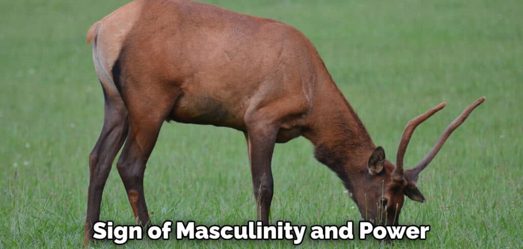 Sign of Masculinity and Power