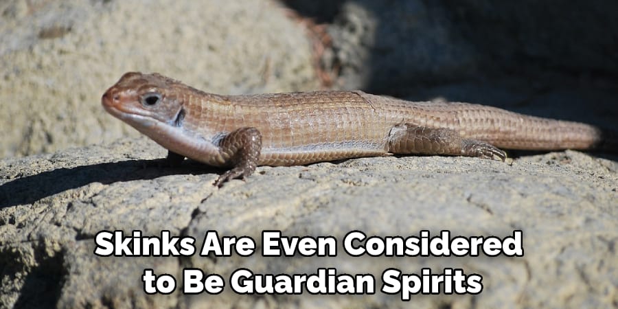 Skinks Are Even Considered to Be Guardian Spirits