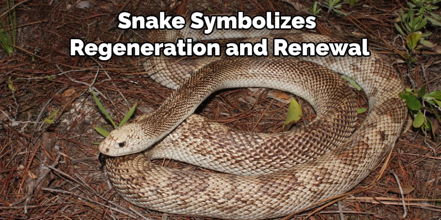 Snake Symbolizes Regeneration and Renewal
