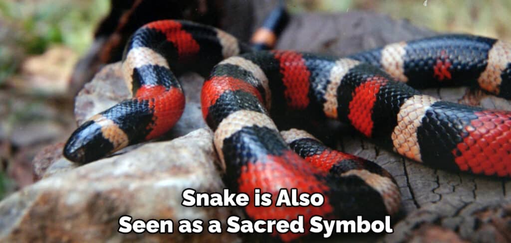 Snake is Also Seen as a Sacred Symbol