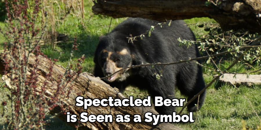  Spectacled Bear is Seen as a Symbol