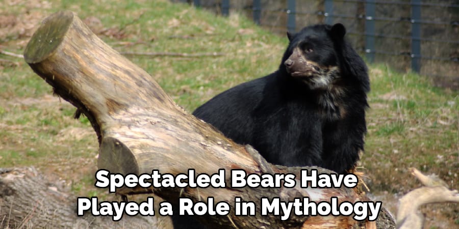Spectacled Bears Have Played a Role in Mythology