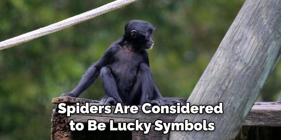 Spiders Are Considered to Be Lucky Symbols