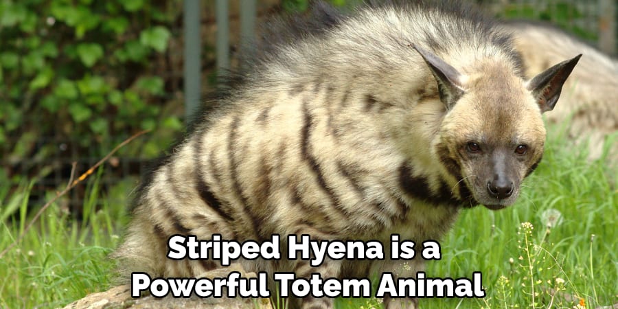 Striped Hyena is a Powerful Totem Animal
