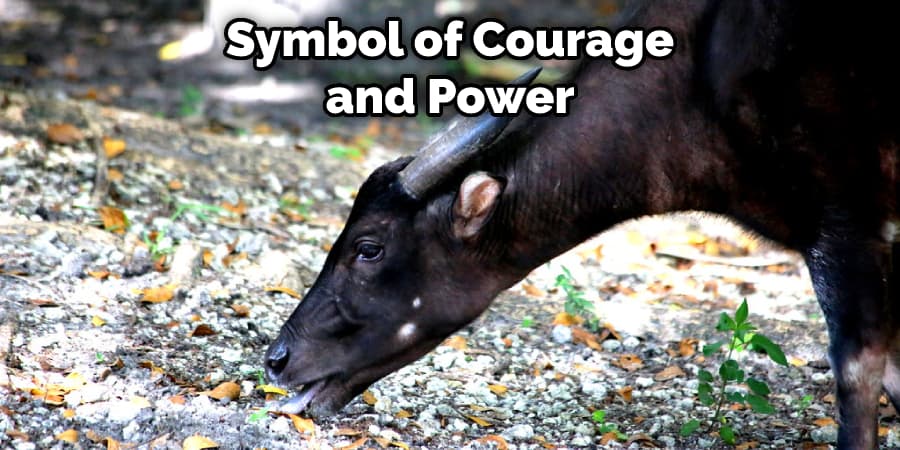 Symbol of Courage and Power