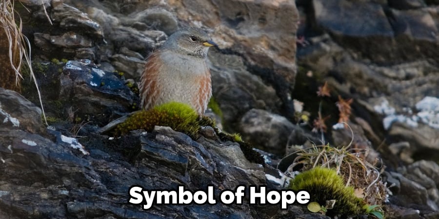 Symbol of Hope
