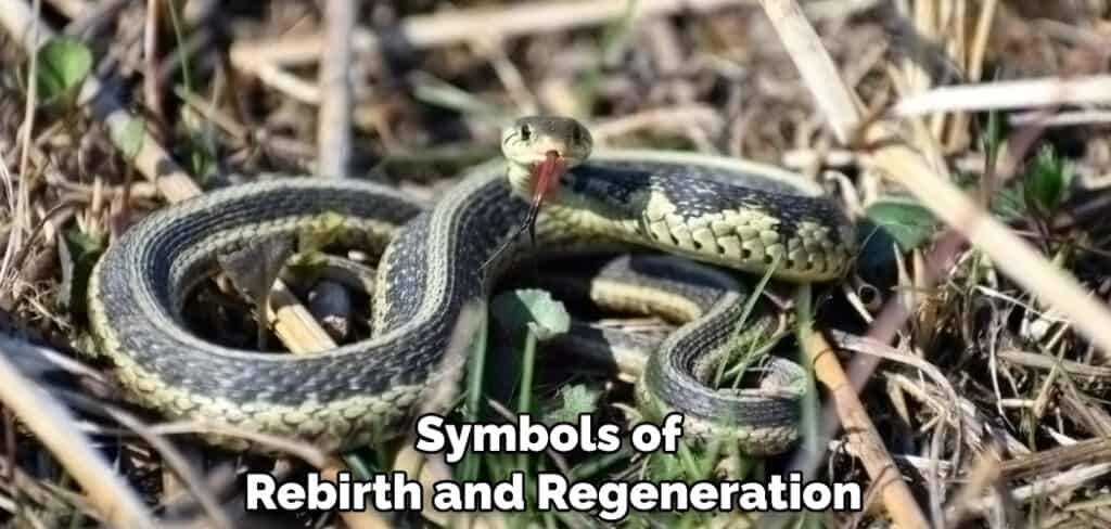 Symbols of Rebirth and Regeneration