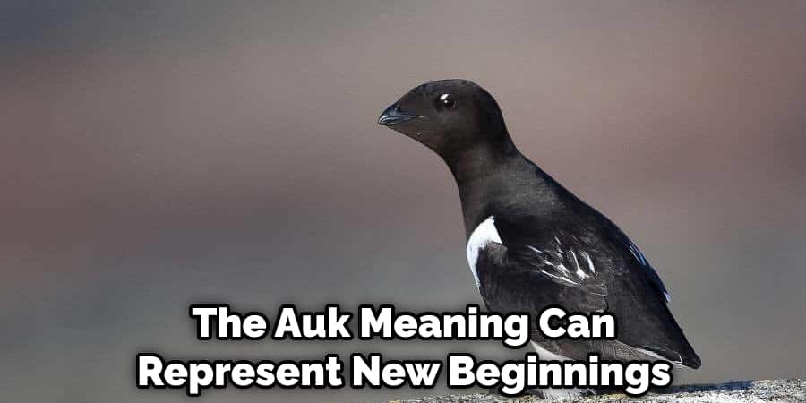 The Auk Meaning Can Represent New Beginnings