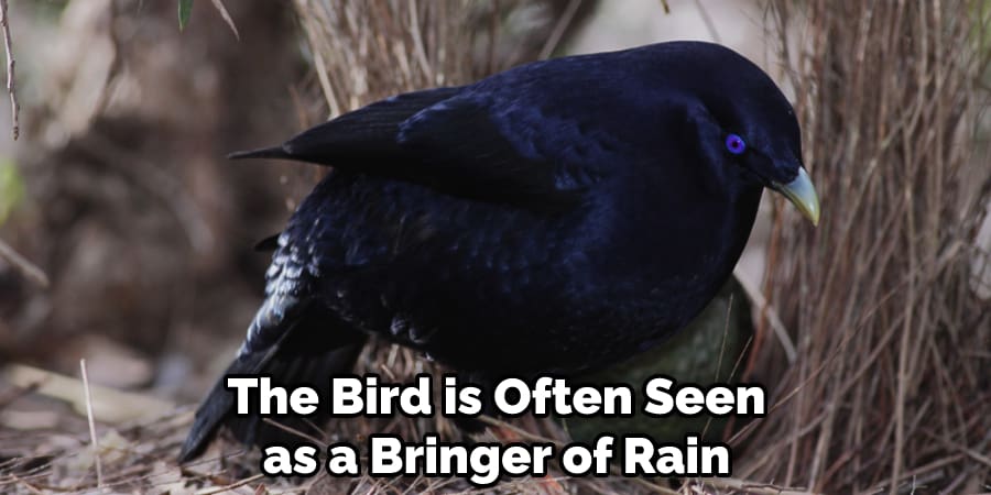 The Bird is Often Seen as a Bringer of Rain