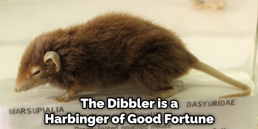 The Dibbler is a Harbinger of Good Fortune