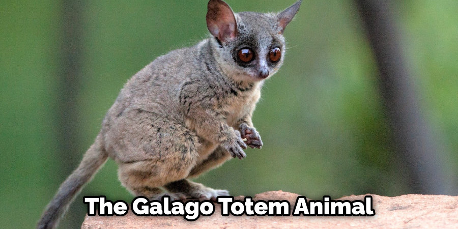 The Galago Totem Animal