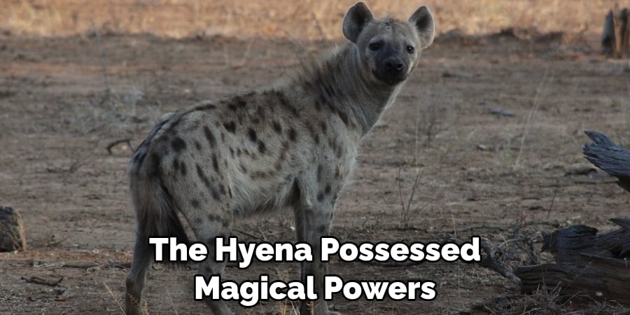 The Hyena Possessed Magical Powers