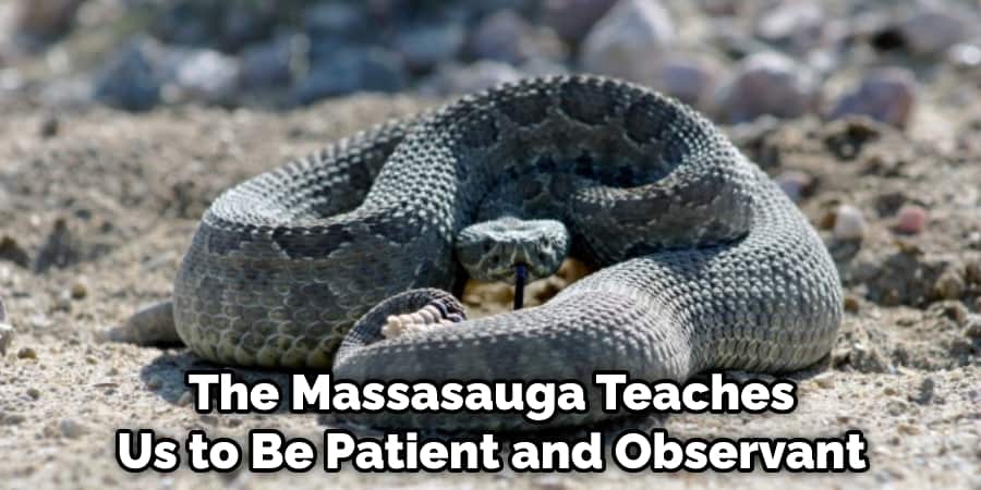 The Massasauga Teaches Us to Be Patient and Observant
