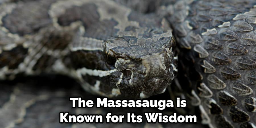 The Massasauga is Known for Its Wisdom