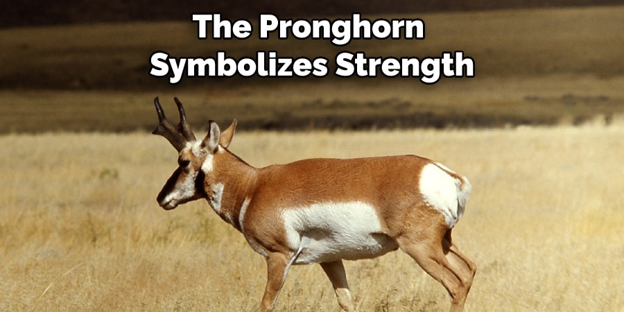 The Pronghorn Symbolizes Strength