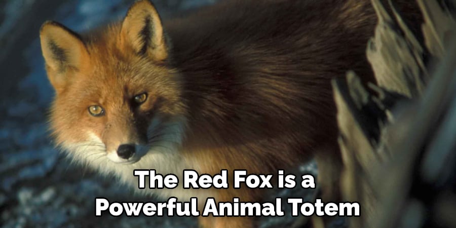 The Red Fox is a Powerful Animal Totem