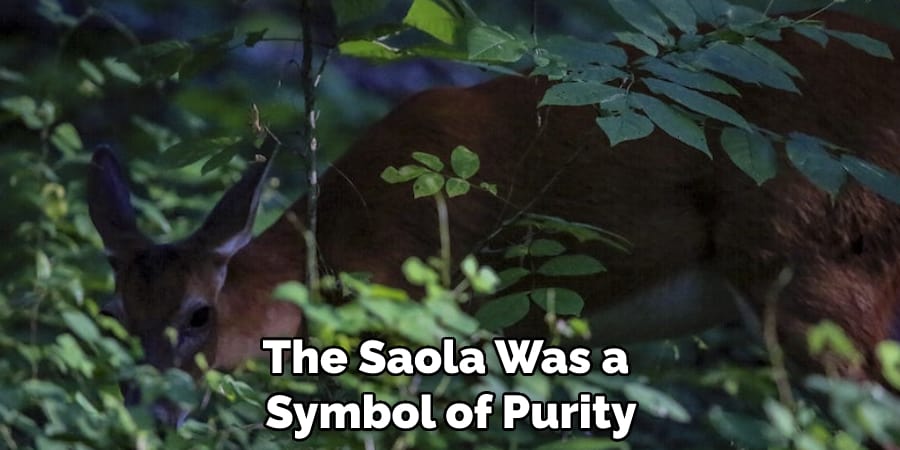 The Saola Was a Symbol of Purity