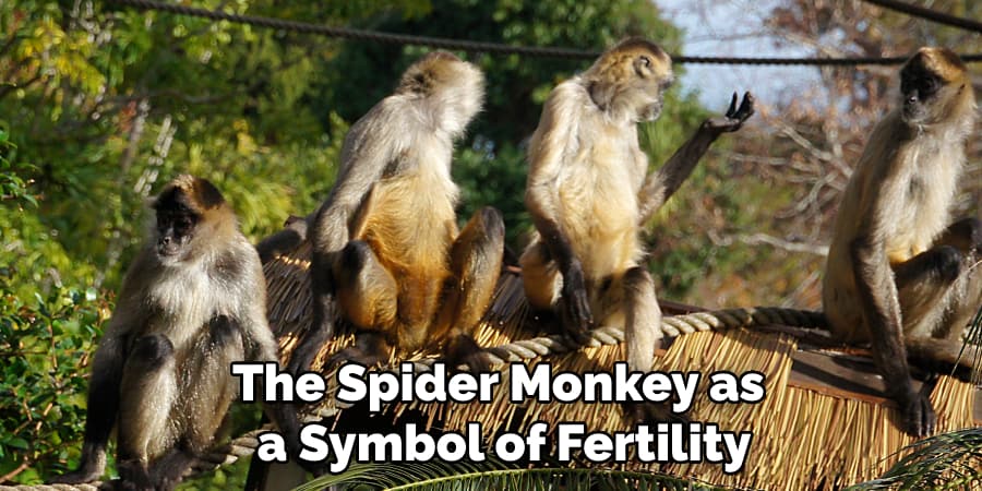 The Spider Monkey as a Symbol of Fertility