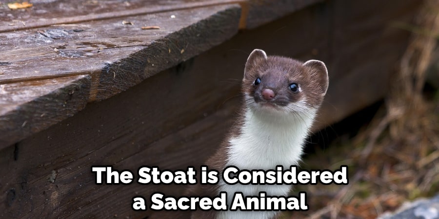 The Stoat is Considered a Sacred Animal