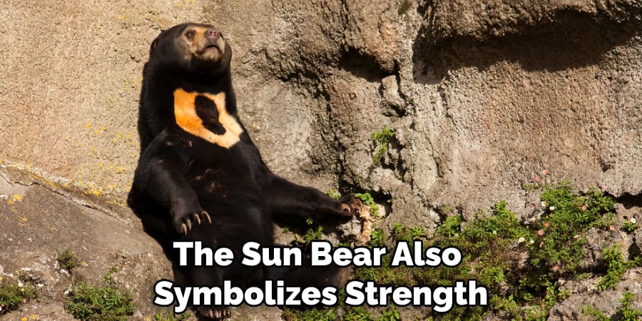 The Sun Bear Also Symbolizes Strength