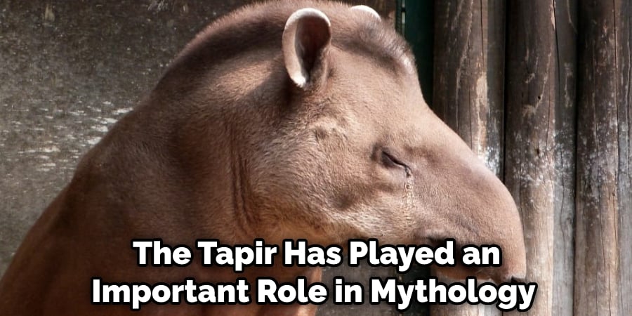 The Tapir Has Played an Important Role in Mythology 