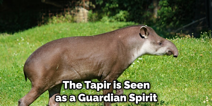 The Tapir is Seen as a Guardian Spirit