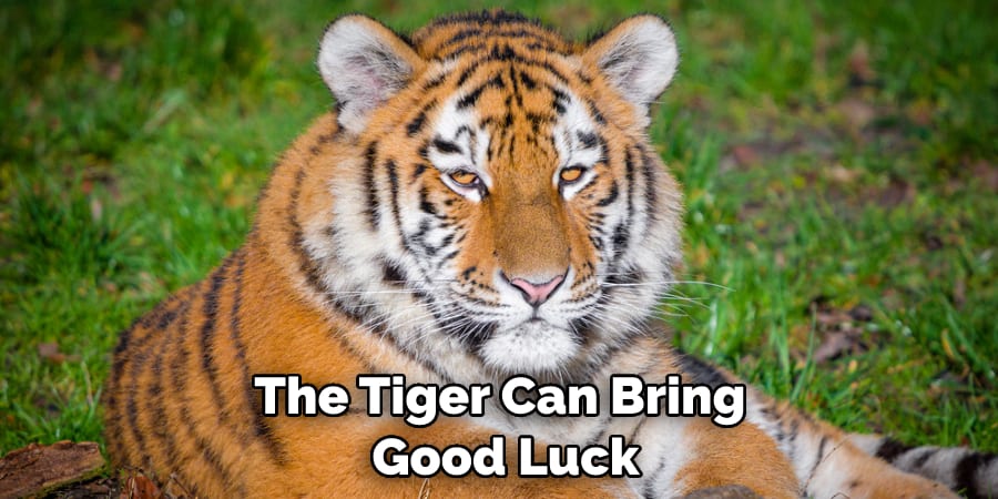 The Tiger Can Bring Good Luck