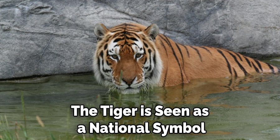 The Tiger is Seen as a National Symbol