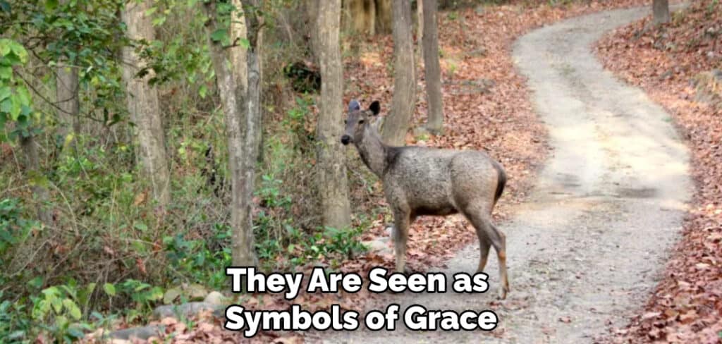 They Are Seen as Symbols of Grace