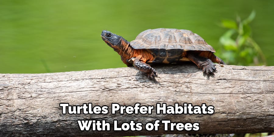 Turtles Prefer Habitats With Lots of Trees