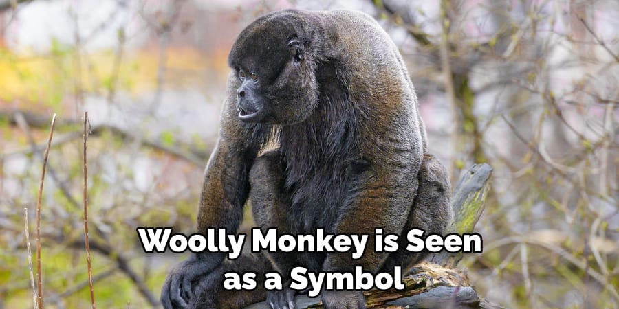 Woolly Monkey is Seen as a Symbol
