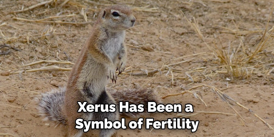 Xerus Has Been a Symbol of Fertility