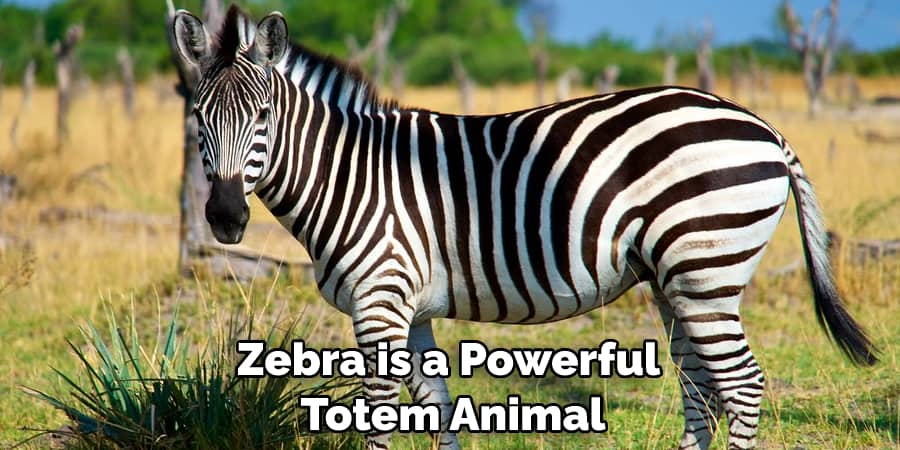 Zebra is a Powerful Totem Animal