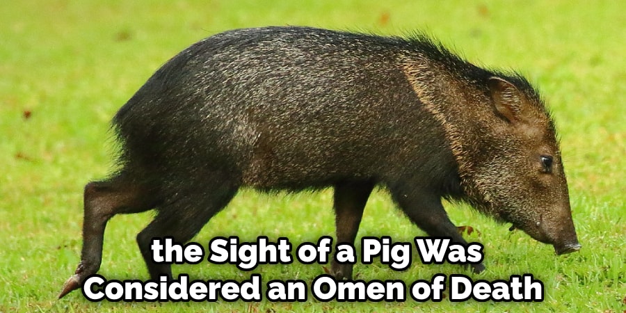  the Sight of a Pig Was Considered an Omen of Death