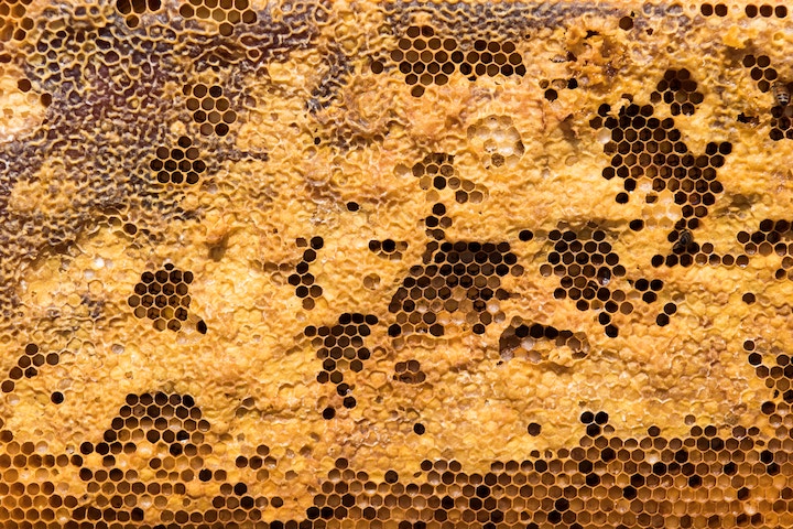 honeycomb spiritual meaning