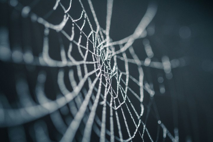 Spider Web Spiritual Meaning